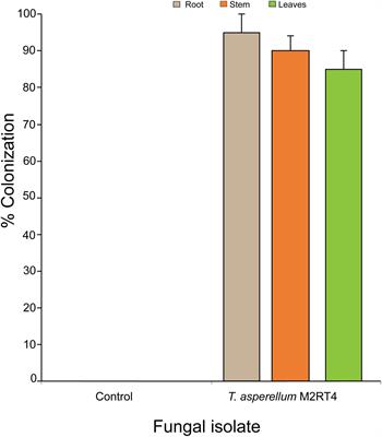 The Endophyte Trichoderma asperellum M2RT4 Induces the Systemic Release of Methyl Salicylate and (Z)-jasmone in Tomato Plant Affecting Host Location and Herbivory of Tuta absoluta